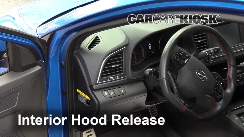 2018 Hyundai Elantra Sport 1.6L 4 Cyl. Turbo Hood